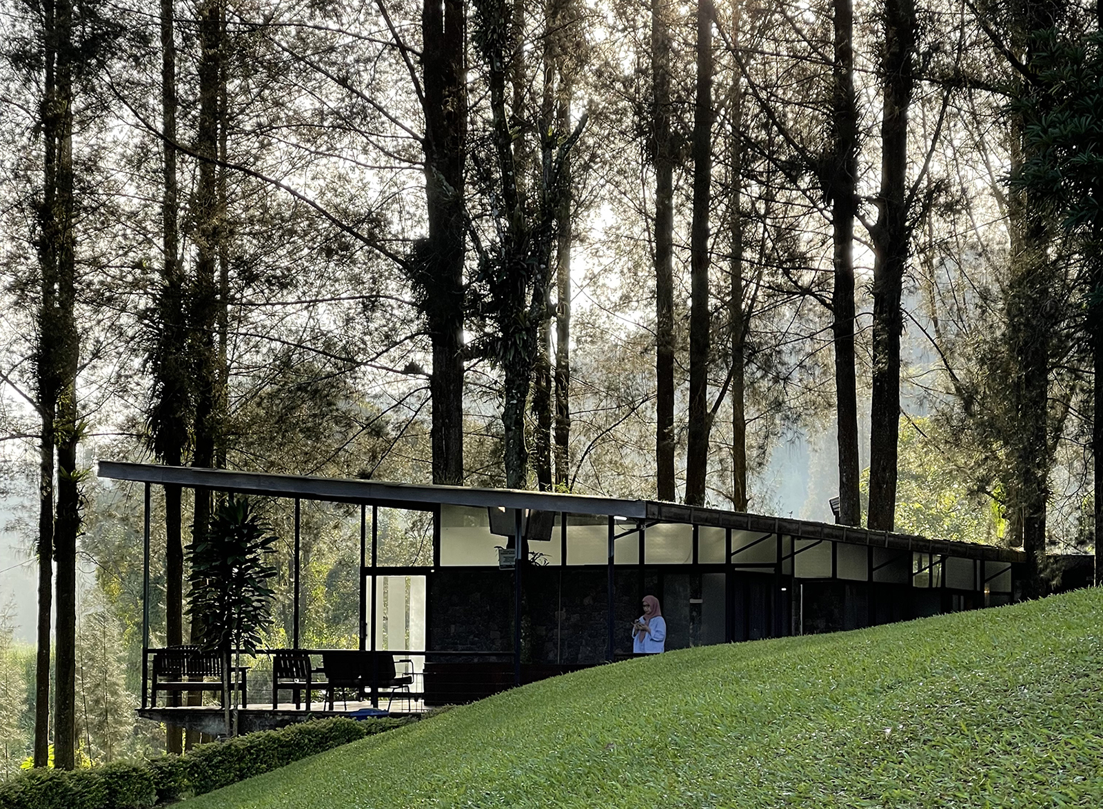 about – mamostudio